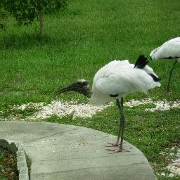 emsacct's profile picture. Retired mom and grandmom who loves to exercise read and knit