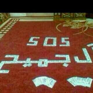 onego4902116213's profile picture. 