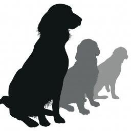 News of new dog food, dog treats, dog food recalls.