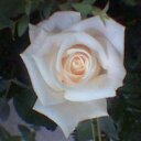 Debra Ames - @DebraAmes_1 - Twitter
