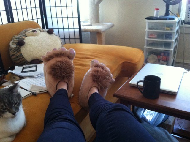 someonesenoemos's profile picture. person. place. or animal.