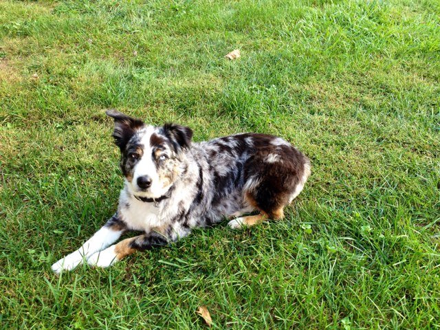 musicman2039's profile picture. 