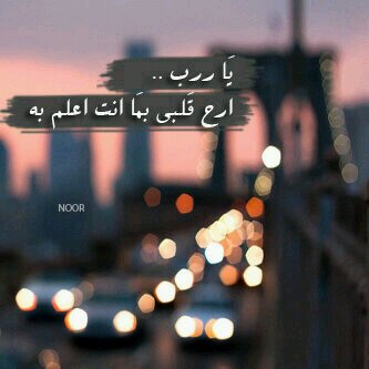 القرران الكريمم  http://t.co/uvOLoKBFvU
