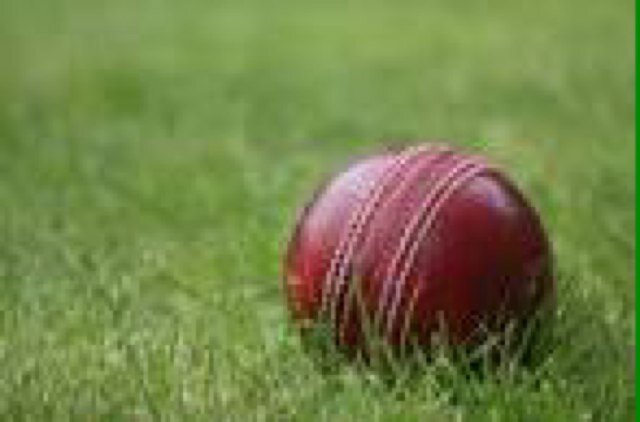 Cricket World Cup 2015. Analysis. Discussion. Criticism.