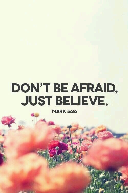 Jesus gives me the life so I am precious :) am supposed to be a lawyer ;) proud of being egyptian...I like translation and reading