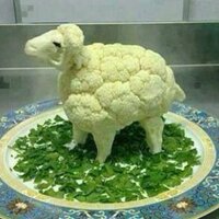 Kerem Erginoglu (@keremerginoglu) 's Twitter Profile