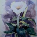 Susie Cunningham - @SusieCunningham - Twitter