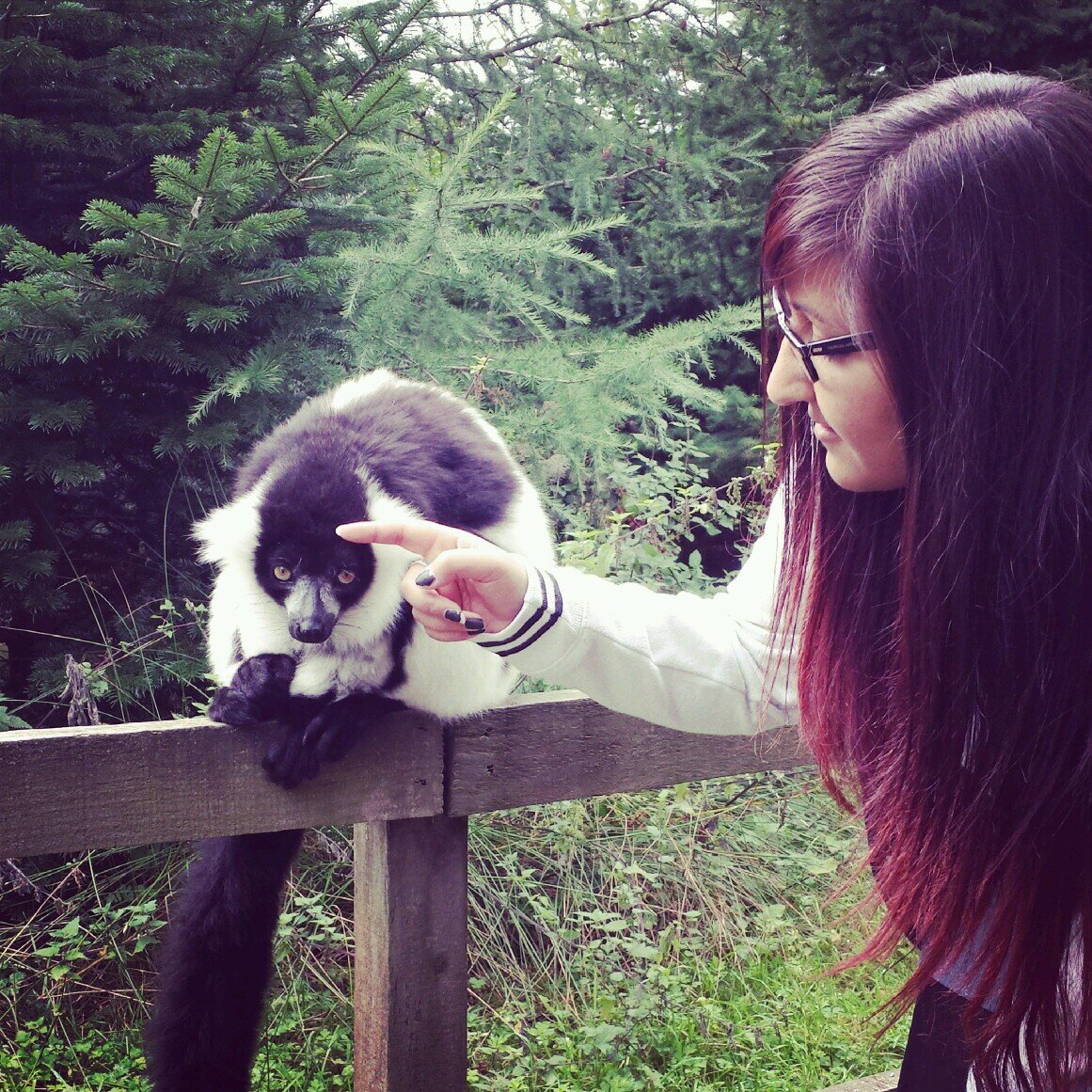 SatinderNK's profile picture. There is a life and there is a death, and there are beauty and melancholy between. XXV
https://t.co/5ZF6tWg6Bn