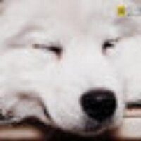 Power Lee (@powerfulleee) 's Twitter Profile