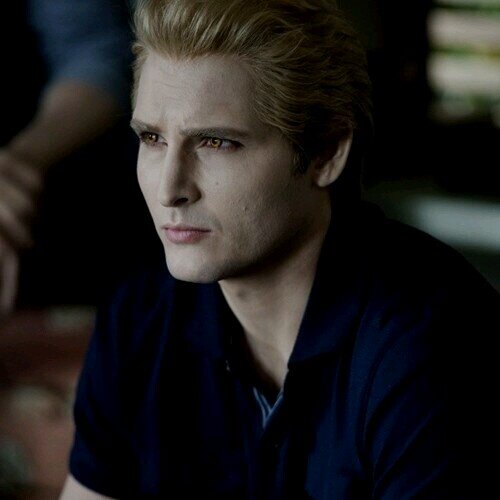 Dr at Forks Hospital. Head of the Cullen household and leader of the Olympic Coven.