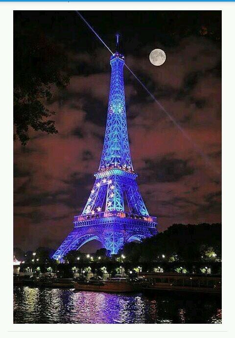 BusyInParadise's profile picture. 