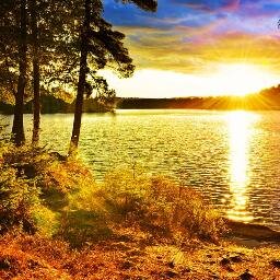 DonkihotMk's profile picture. 