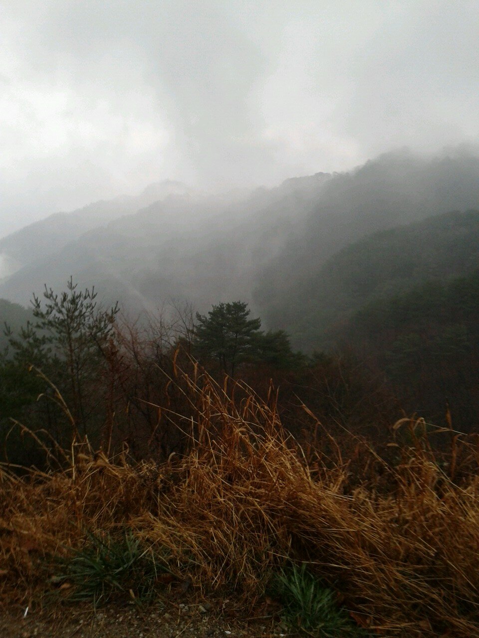 여러분들과 친구가 되고싶습니다!!