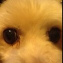 Tyler devries - @GmaiTyler - Twitter