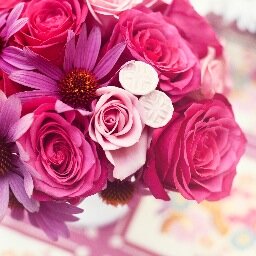 MsSteiner1's profile picture. Mother, educator, student