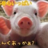 たんぽぽ新別館(@huwawatanpopo20) 's Twitter Profile Photo