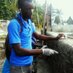 bitho faustin (@bithof) Twitter profile photo