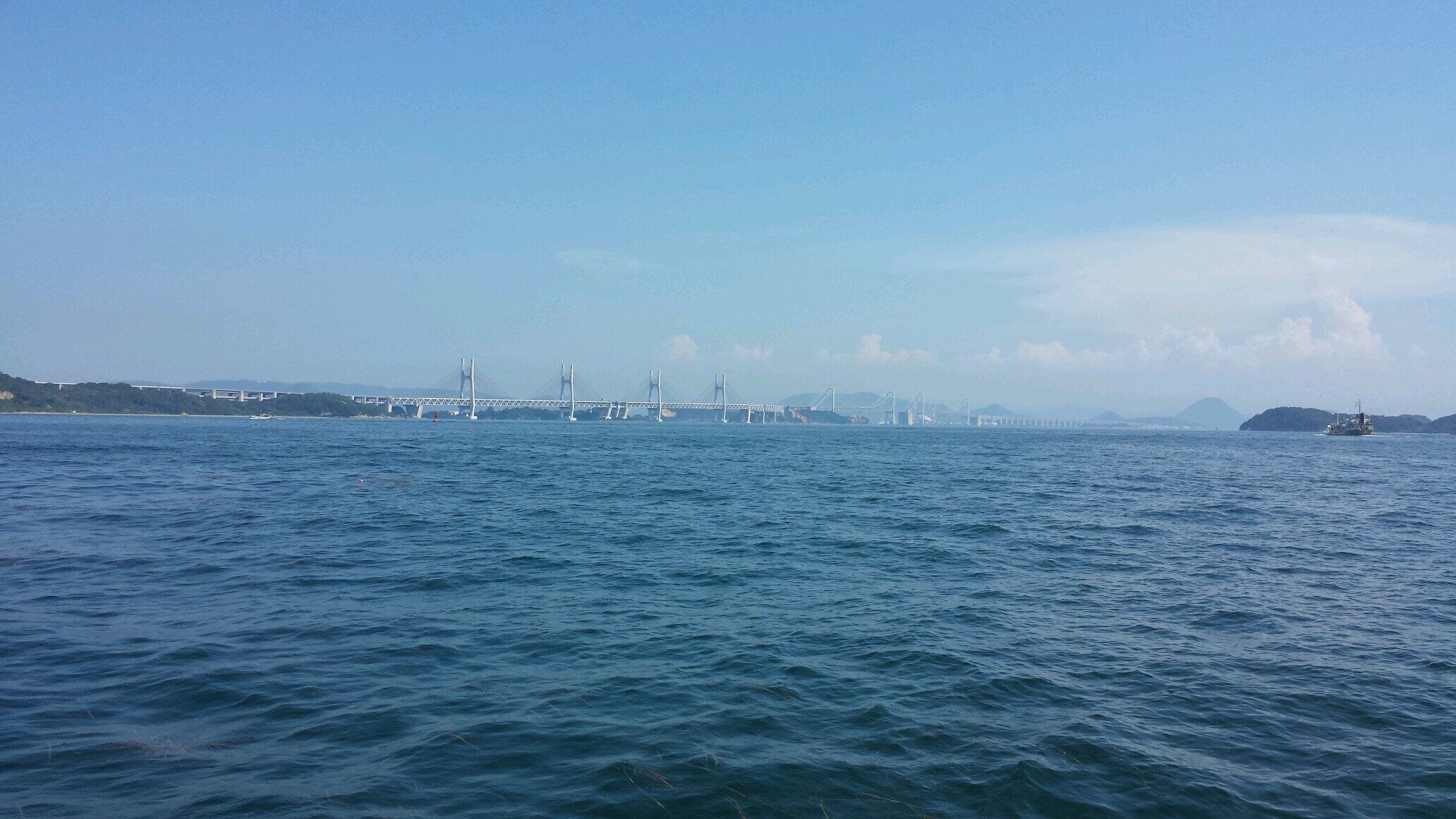 SolfaRosso's profile picture. 