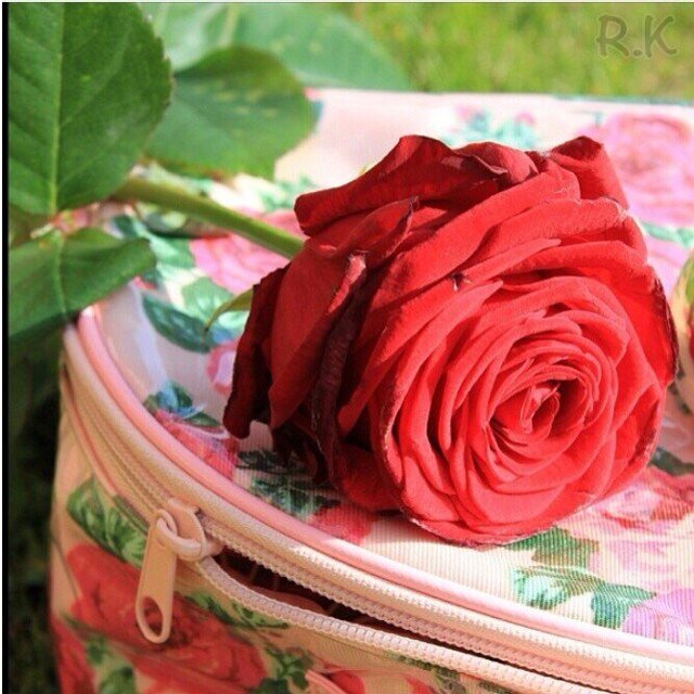 ‏‏احبك ربي فرزقني حبك ♥♡
