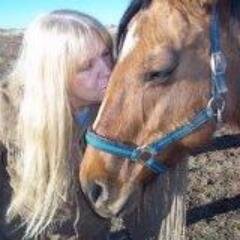 I LOVE HORSES. I LOVE WESTERNS. I'VE BEEN WATCHING WESTERNS SINCE I WAS A LITTLE GIRL SITTING ON MY DADDY'S LAP WATCHING LITTLE JOE WITH  HIM..