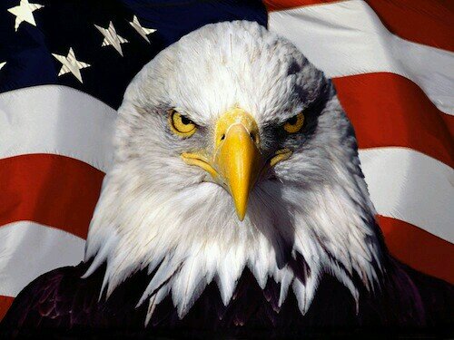 I am an American gun nut :) challenging society. #Anonymous. Love computers and #Politics. #LegionOps