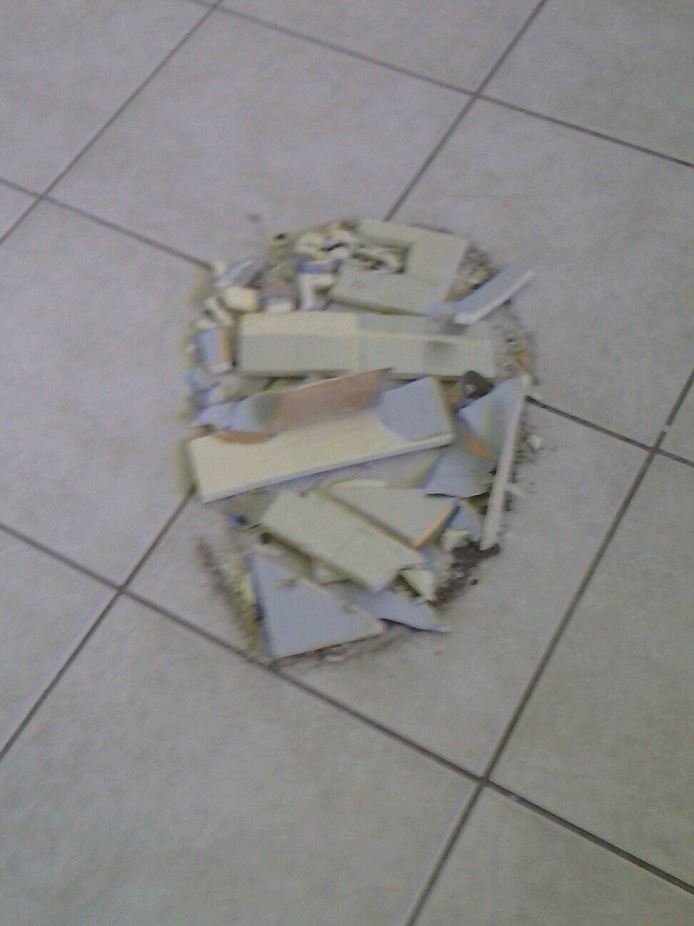 BeckNucknb's profile picture. 