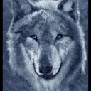 bobby cole - @bobby196061 - Twitter