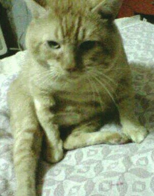 polypoly201's profile picture. 