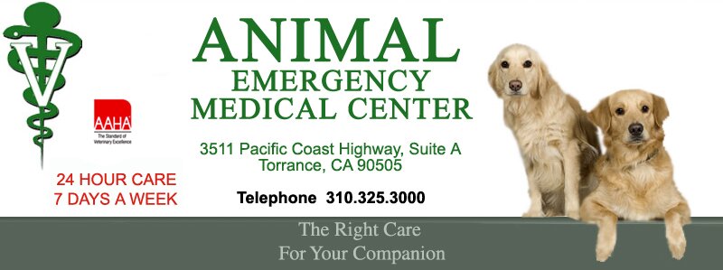AEMCVET's profile picture. Animal Emergency Medical Center is a 24 hour critical care&specialty hospital dedicated to delivering the highest standard of veterinary care to your companion