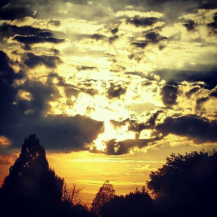 simplyj_6's profile picture. I Walk in My Truth!!