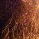 bearded thoughts (@Grizzly32848443) Twitter