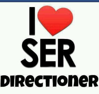 Amo a One direction