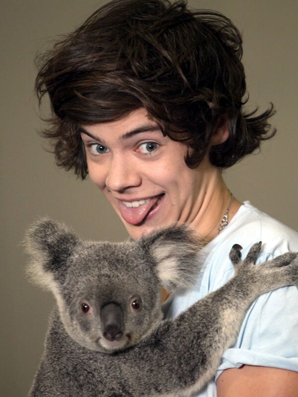 FOLLOW @harrehmarrehmeh SHE GAVE YOU THIS FOLLOW