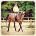 Marie T 🦊 (@marie_tiguy) Twitter profile photo Marie T 🦊 (@marie_tiguy) Twitter profile photo