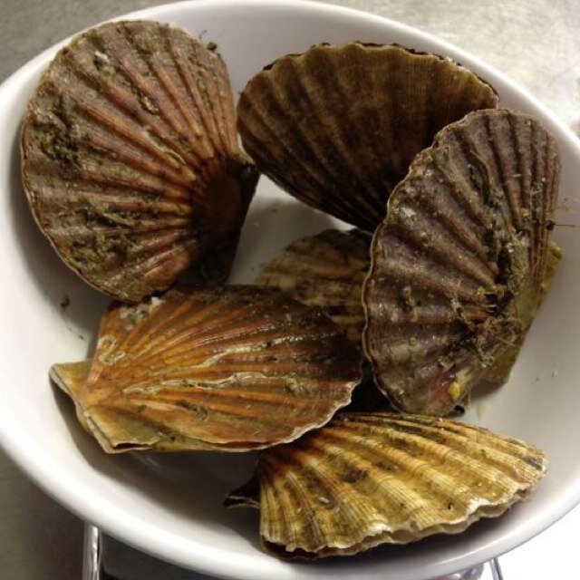 Nottingham Seafoods is proud to announce our new home delivery service. Fresh fish & Seafood, prepared by us, delivered direct to you and at wholesale prices.