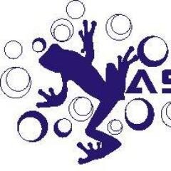 Club Natación Astillero🐸💪