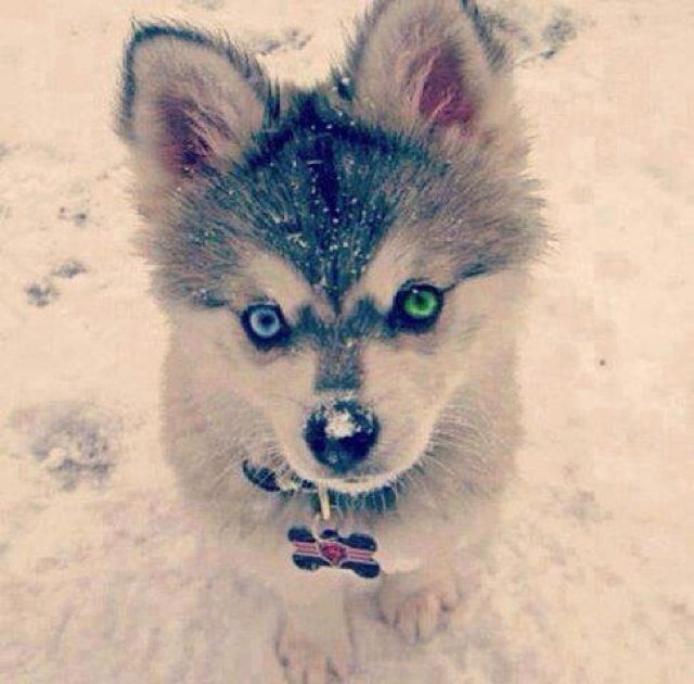 LiaLjubica's profile picture. 