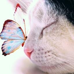 ◄♡[ Life Is Full Of Puzzle ]♡