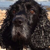 DFGZ (@defergz) 's Twitter Profile