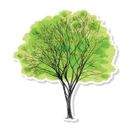 NEW tree gift web-site... Follow us now for Special Offers & Discounts!