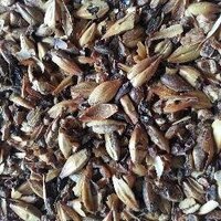 grubandgrain (@grubandgrain) 's Twitter Profile