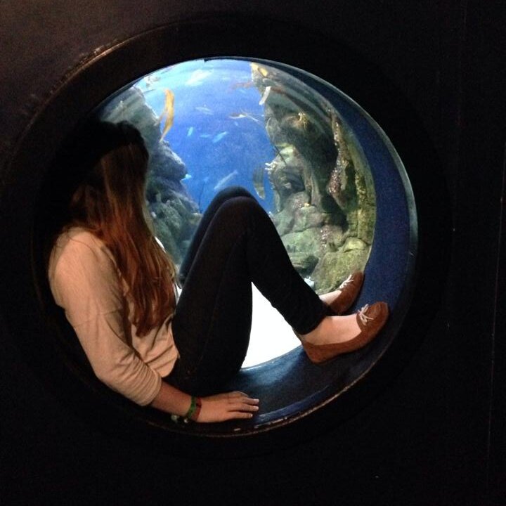 Beth_A_Andrews's profile picture. Trainee Primary School Teacher, Studying BEd Primary English at Plymouth University. 
Proffessional account taking you through my university life.