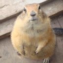 Bill Andrew Giddens - @billgiddens15 - Twitter