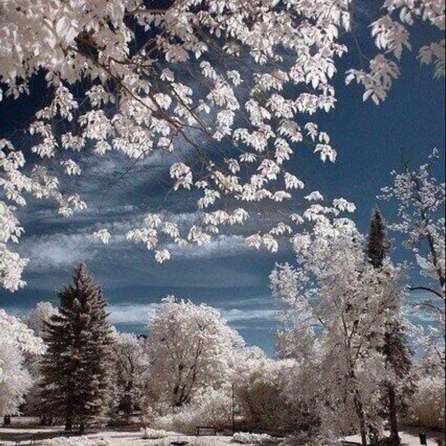 saudi334455's profile picture. 