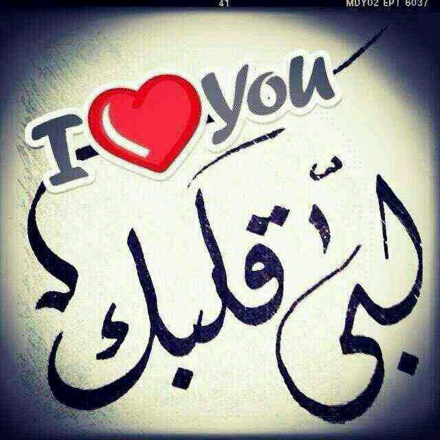 ابو مهند