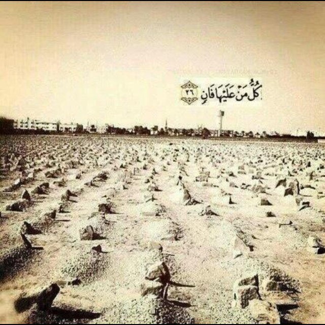 واجعل فقيدي يالله في جنه نعيمُها مد البصر، واحفظ امي بما تحفظ به عبادك الصالحين ❤️..