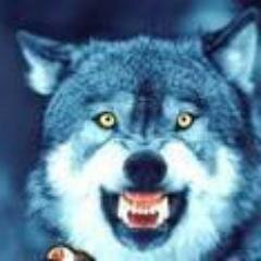 emrezen61249735's profile picture. 