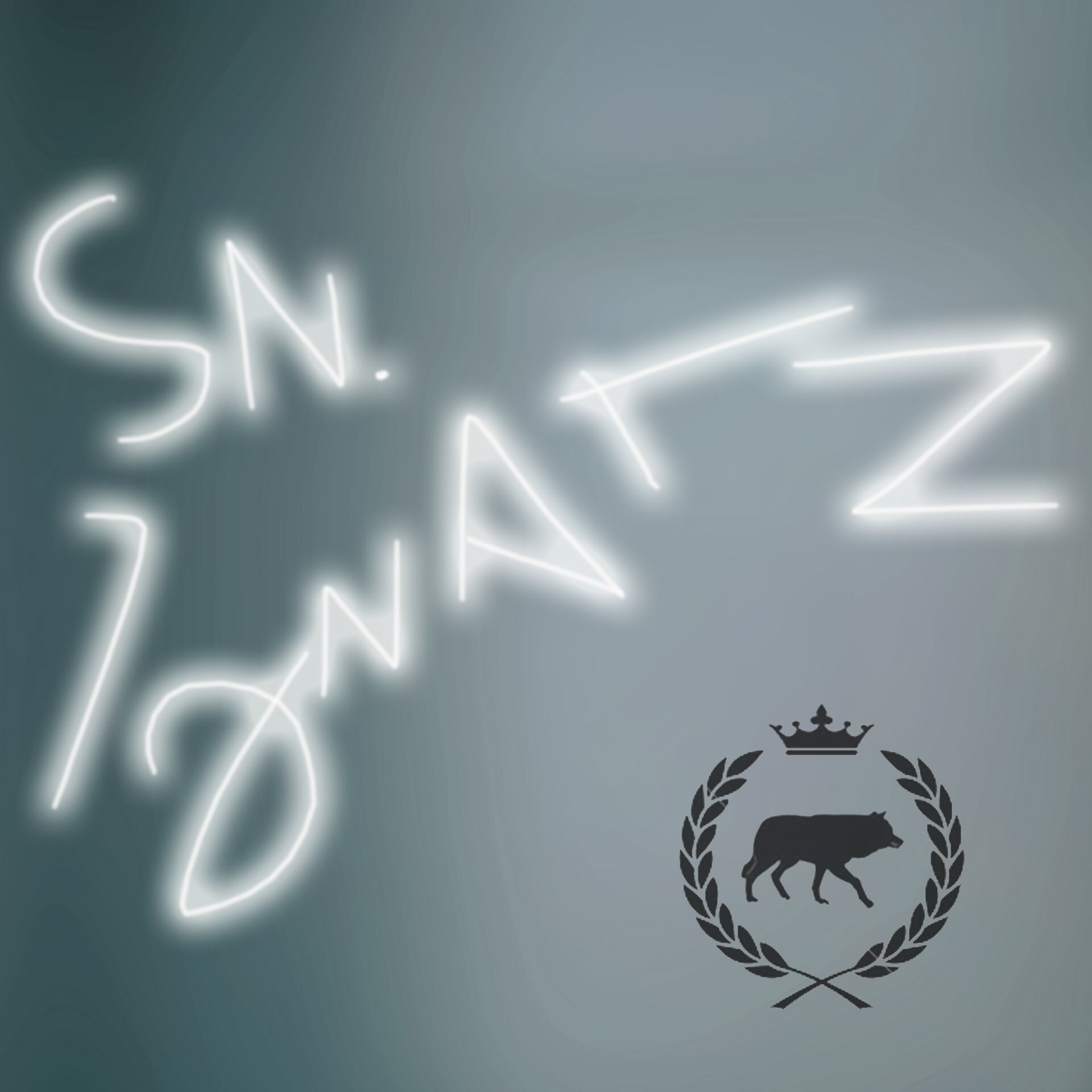 Sanignatz's profile picture. Músico solista SOL LUCET OMNIBUS