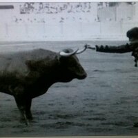 Antonio Pineda Valde (@antoniopinedava) 's Twitter Profile Photo