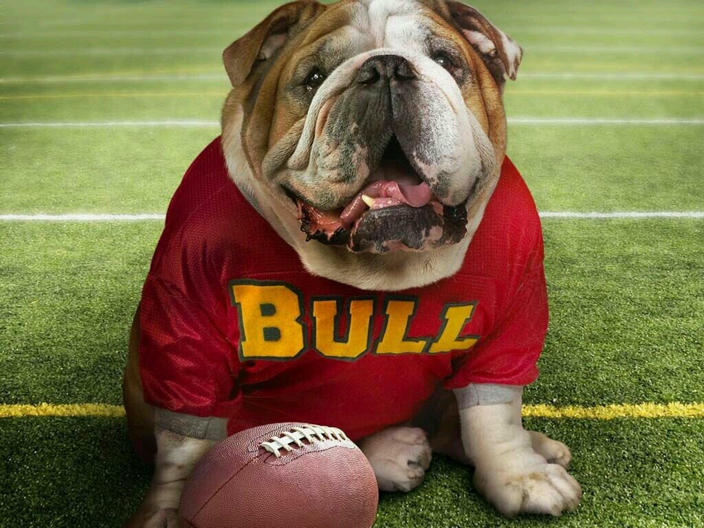 balbaltm's profile picture. 